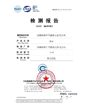 擺閘檢測報告